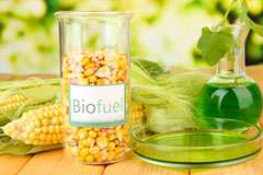 Byton Hand biofuel availability
